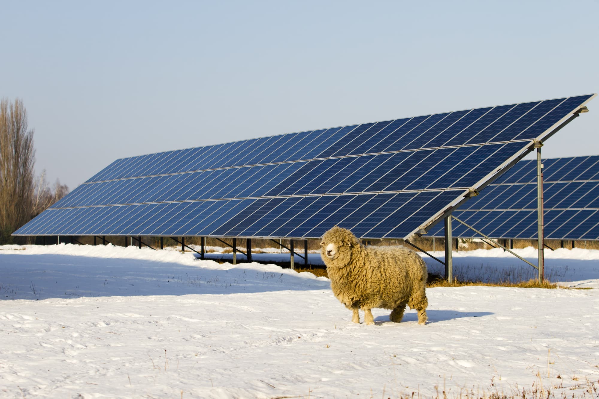 Key project 2 x 500 mw 1000 kwh
